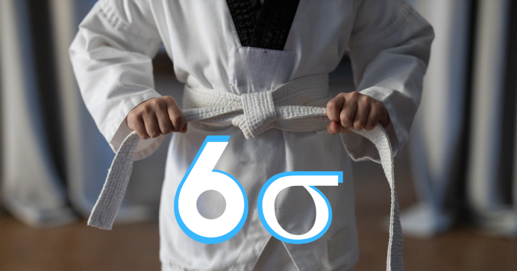 What is the Six Sigma White Belt
