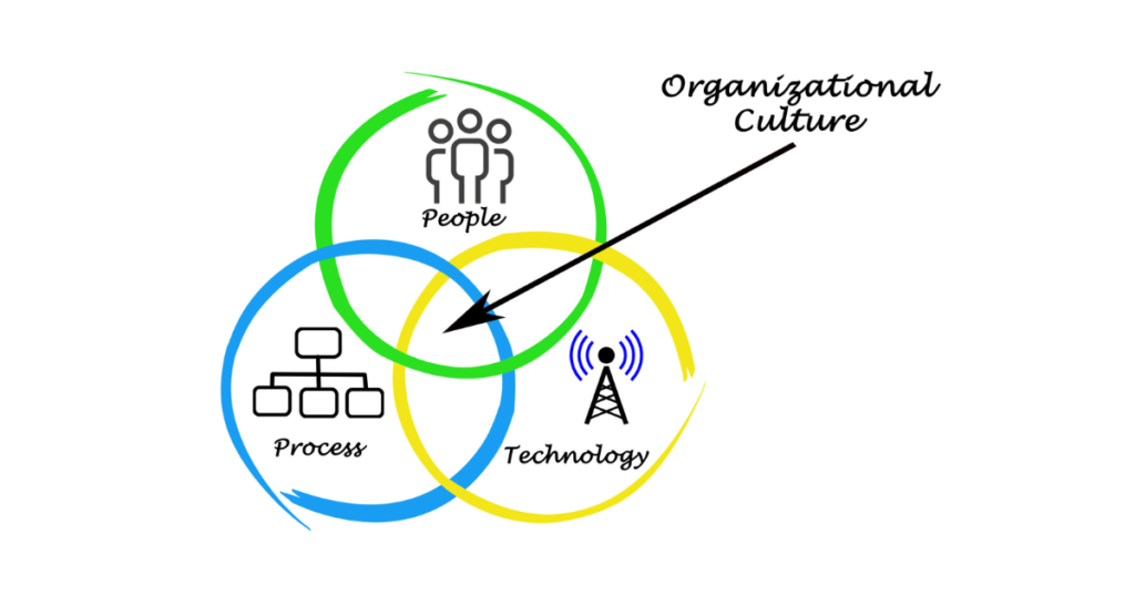 Understanding Organizational Culture Change