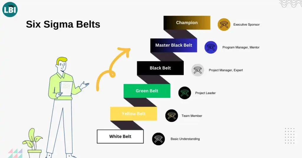 Six Sigma Belts